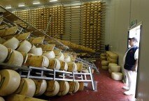 Oriano Caretti observa los anaqueles y quesos parmesano que se vinieron abajo por el sismo del domingo en San Giovanni, Italia.