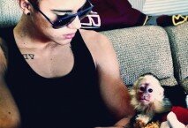 Acompañante. Cuando Bieber pasó por la aduana, no tenía los papeles para el ingreso del mono capuchino y se lo recogieron las autoridades