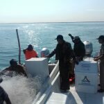 Sí hay más inspección y vigilancia: pescadores