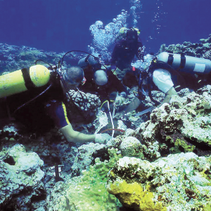 Naufragio hallado podría ser una fragata británica