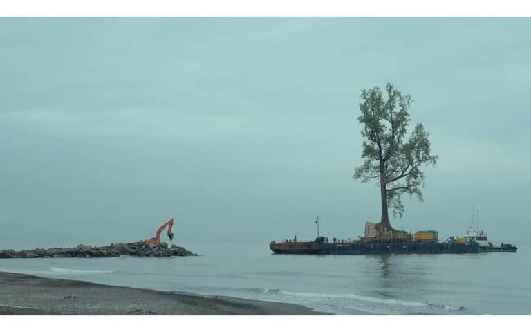 Un multimillonario lleva años enviando árboles en secreto por barco a una isla privada, pero ¿por qué