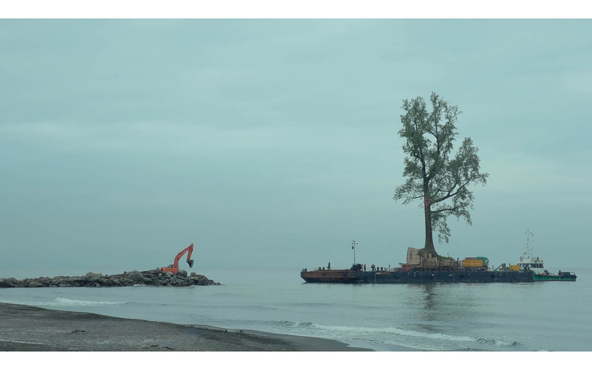 Un multimillonario lleva años enviando árboles en secreto por barco a una isla privada, pero ¿por qué