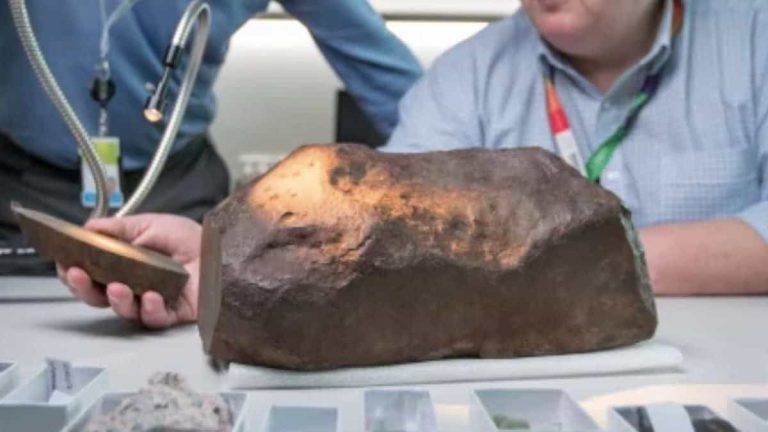 Creía que eastaba recogiendo una simple piedra, pero en realidad valía 78 millones de pesos