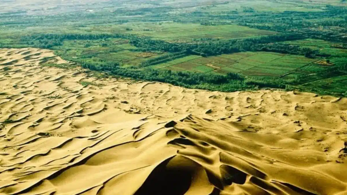 Desierto de Taklamakan 600 000 trabajadores movilizados para hacer retroceder el desierto… pero este detalle oculto del proyecto sorprende incluso a los expertos