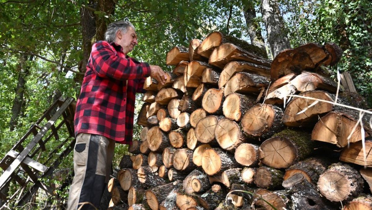 No le quedaba nada… excepto una idea vender madera