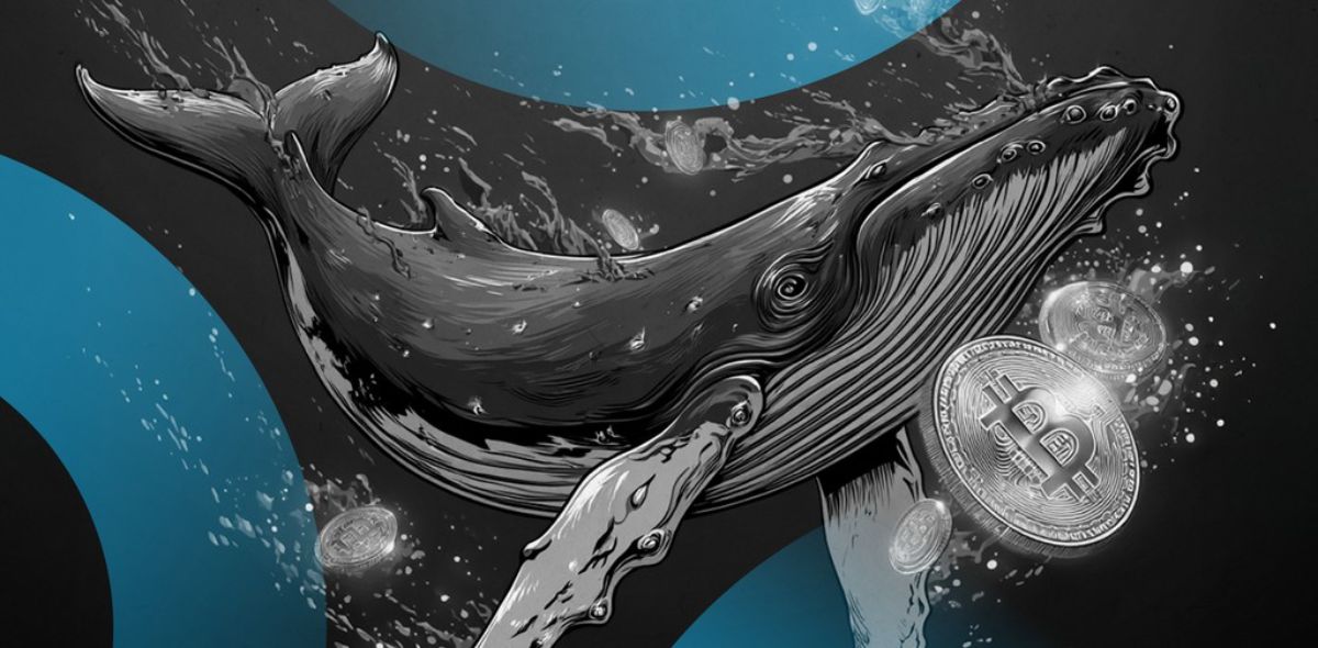 Una ballena transfiere 11 000 millones de dólares de BTC a ETH: ¿el comienzo de una temporada explosiva para las altcoins?