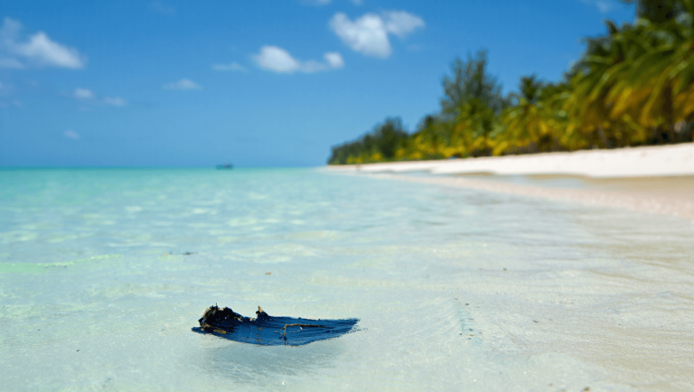 “En Este Momento Las Playas Están Limpias” Divide Opinión en 2026 - Lo Que Cambia