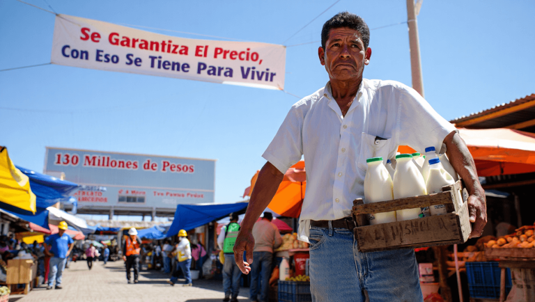 "Se Garantiza El Precio, Con Eso Se Tiene Para Vivir" Divide Opinión Tras Inauguración En Campeche 16 May 2026