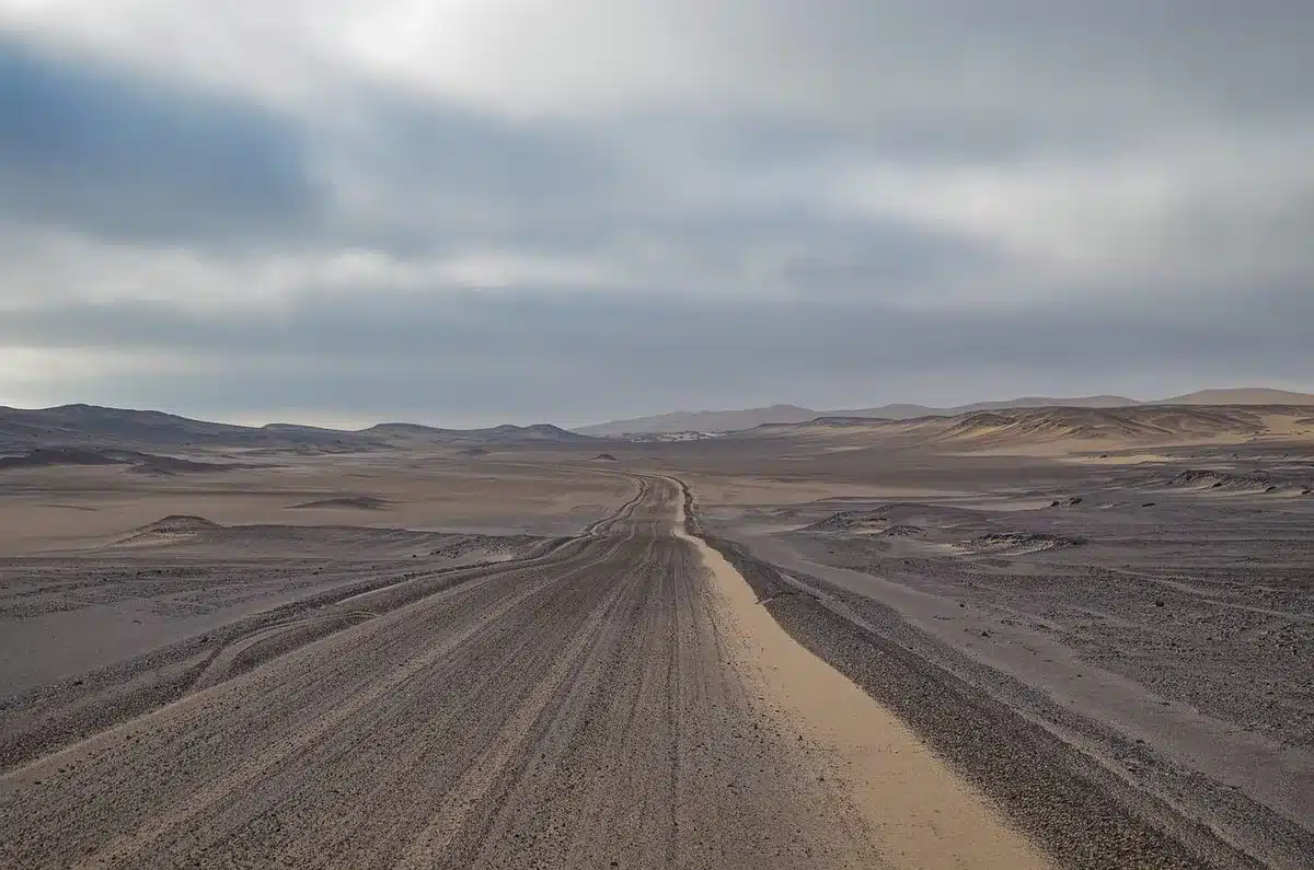 Llanta de verano en carretera seca con excelente agarre